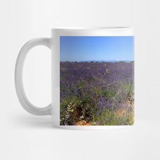 Lavander in Provence Mug